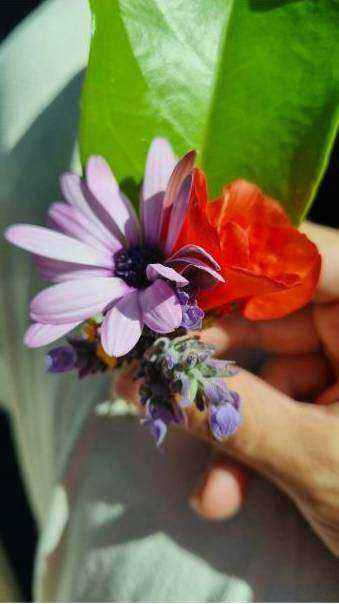 Florist arranging seasonal bouquet