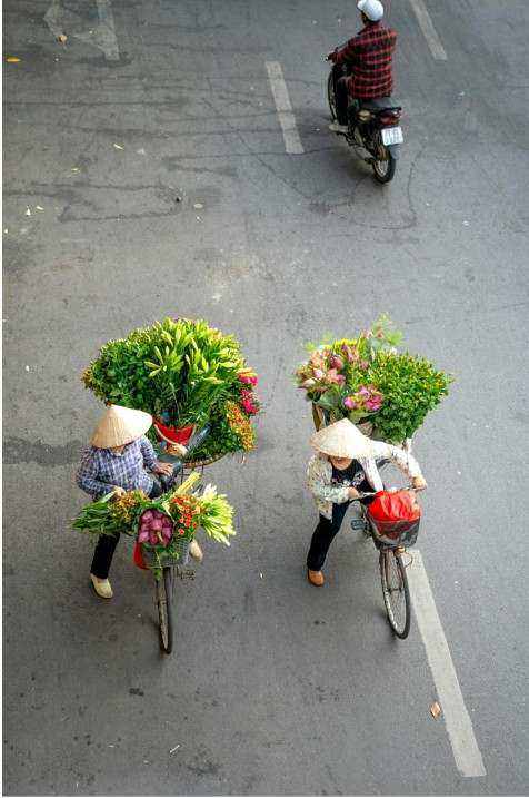 Bespoke floral installation